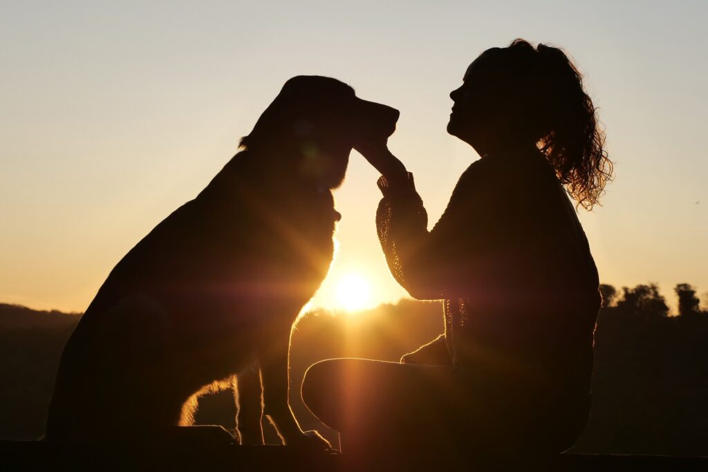 Uma mulher de joelho olhando para o seu cachorro ao pôr do sol